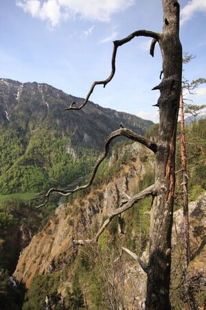 Wasserlochklamm palfau 70462 2018-04-23.jpg