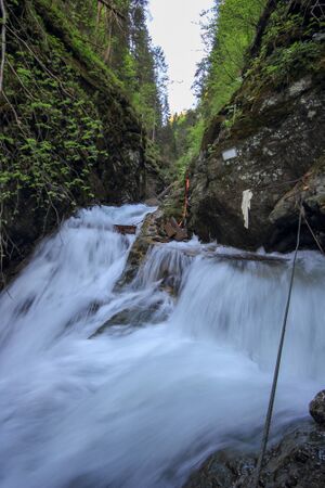 Wsf tobeitschbach 45173 2017-05-18.jpg