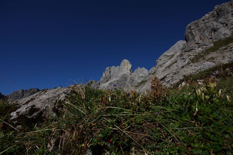 Datei:Bischofsmütze 36812 2011-09-11.jpg