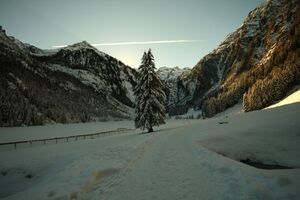 Bodensee 26473 2014-01-01.jpg