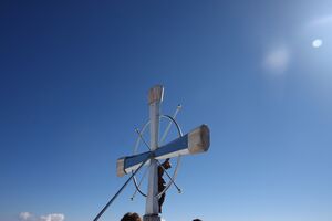 Deneck 6333 2013-04-25.jpg