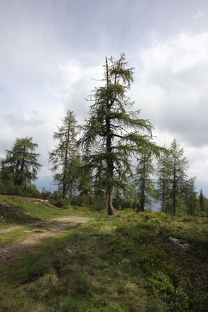 Fageralm 78526 2018-06-15.jpg