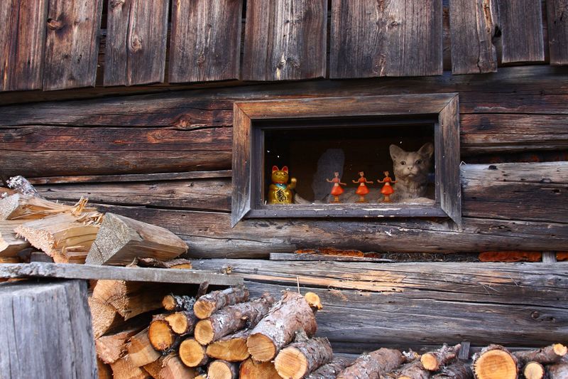 Datei:Halseralm ramsau 79440 2014-11-16.jpg