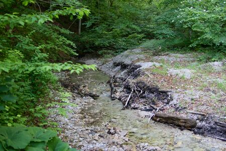 Hundsgraben unterlaussa-0259-2025-06-18.jpg