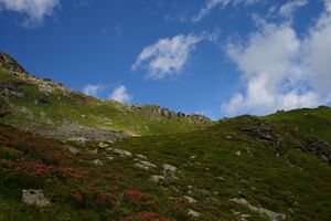 Im stegerkar 23978 2008-07-09.jpg