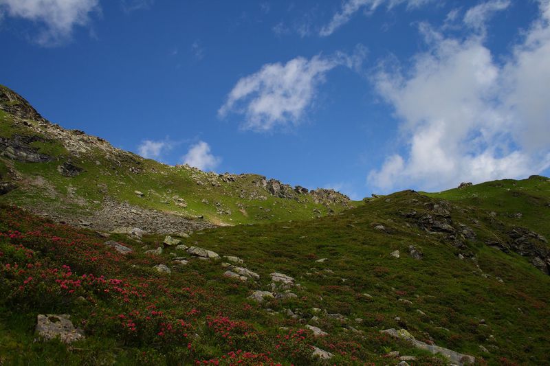 Datei:Im stegerkar 23978 2008-07-09.jpg