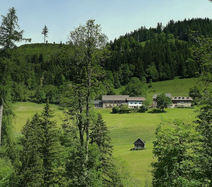 Datei:Möslhof 8070.JPG