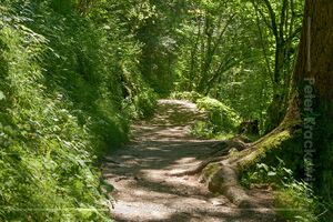 Promenadenweg Altausseer See 06.JPG