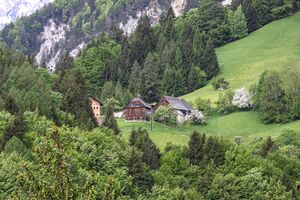 Rittensteinweber wörschach-3000-2013-05-16.jpg