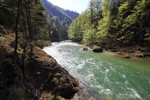 Salza palfau 70633 2018-04-23.jpg