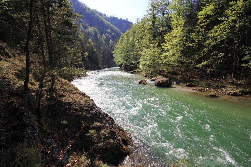 Datei:Salza palfau 70633 2018-04-23.jpg