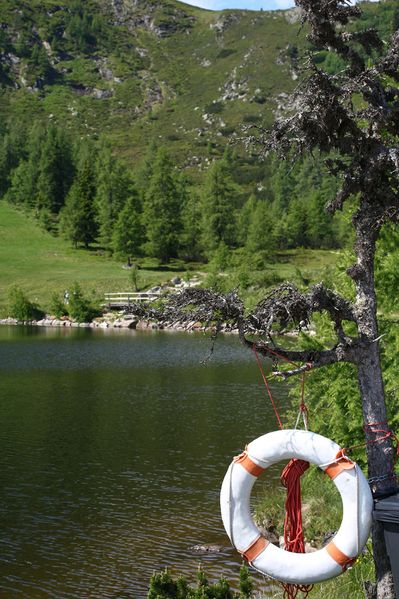 Datei:Speicherteich Reiteralmsee 65685 2014-06-27.jpg