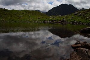 Stegerkarsee 0816 2008-07-09.jpg