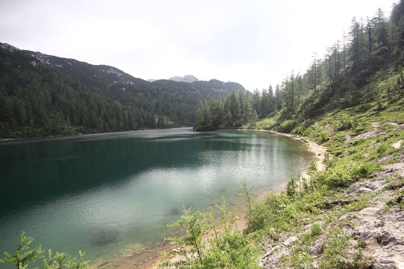 Datei:Steirersee südufer 51312 2017-06-24.jpg