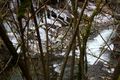 Strubschlucht 34720 2014-01-20.jpg