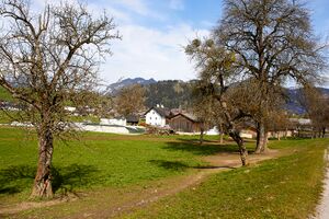 Tippl vlg lipphuber-0147-2023-04-23.jpg