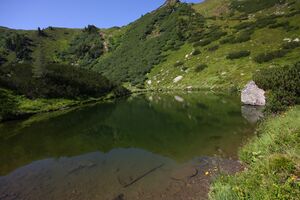 Unterer Karlsee 1507 13-08-05.jpg