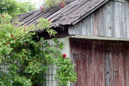 Vlg perl nr 20-0788-2023-06-16.jpg