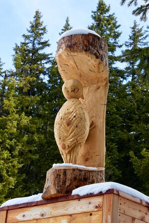 Waldwegerl planai-0058-2023-05-19.jpg