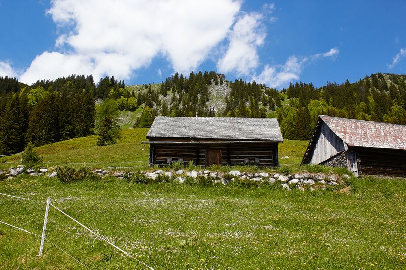 Datei:Bacheralm ardningalm-1009-2022-05-31.jpg