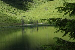 Bodensee seewigtal 63520 2014-06-21.jpg