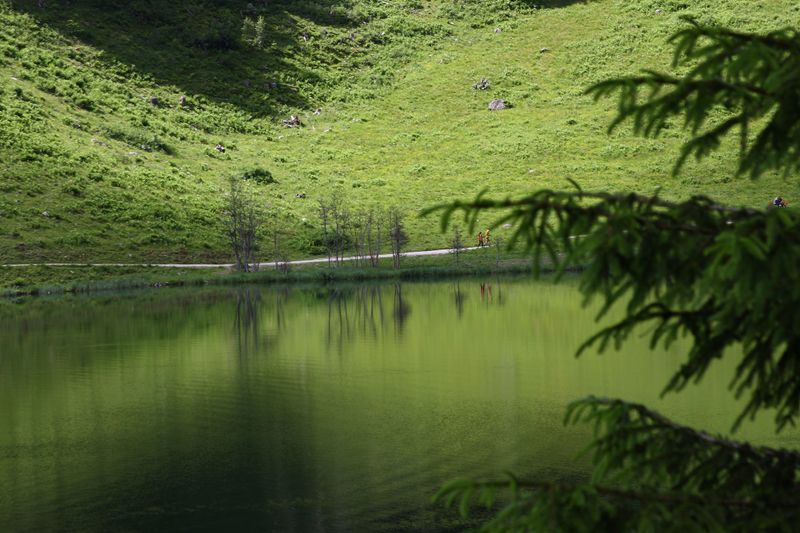 Datei:Bodensee seewigtal 63520 2014-06-21.jpg