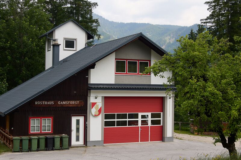 Datei:FF Gamsforst-0528-2025-06-11.jpg