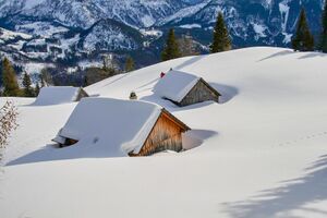 Gössleralm-salzofen 2614 2008-02-04.jpg