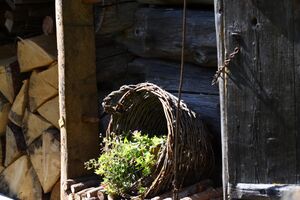 Lassachalm kleinsölk 99032 2015-08-28.jpg