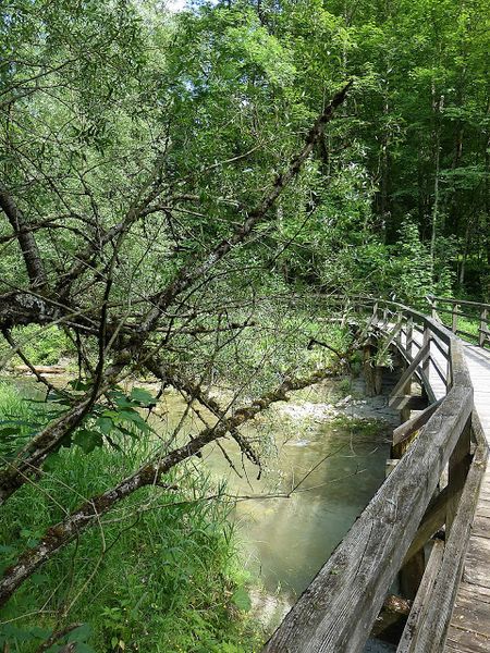 Datei:Lettmair Au12.JPG