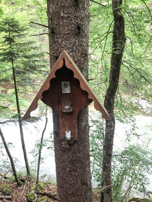 MA 03 Koppental-3101-2021-06-08.jpg