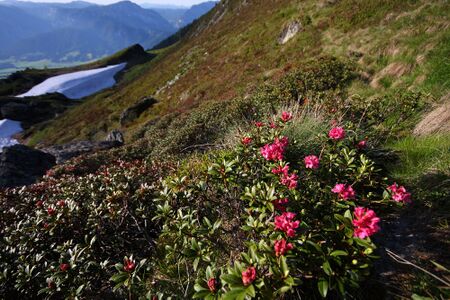 Ochsenkarhöhe 43212 2012-06-16.jpg