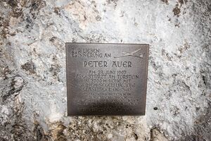 Peter auer0001.jpg