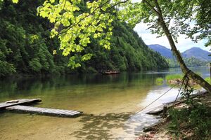Plätte Toplitzsee-52-2017-05-17-5.jpg
