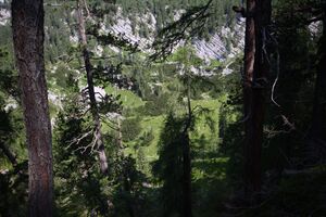 Prechtelsboden- kemetgebirge 96958 2015-07-16.jpg