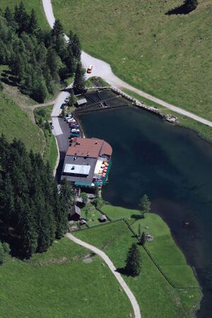 Steir.bodensee -labeck 49486 2017-06-09.jpg