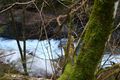 Strubschlucht 34062 2014-01-17.jpg