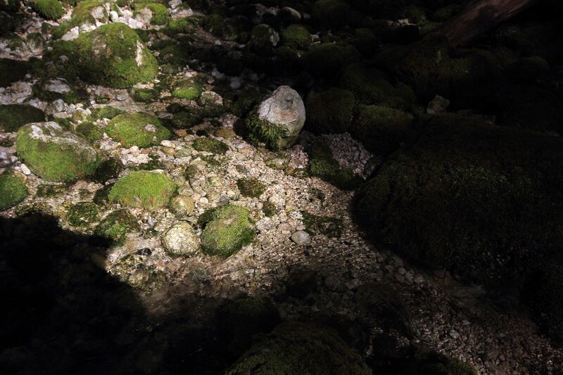 Datei:Strummern mühlreith 47186 2017-05-17.jpg