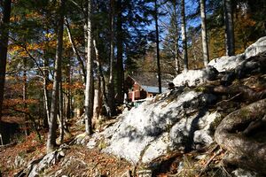 Toplitzsee 77731 2014-11-03.jpg