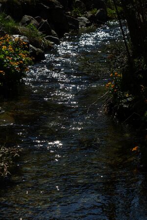 Untertal 22366 2008-05-08.jpg