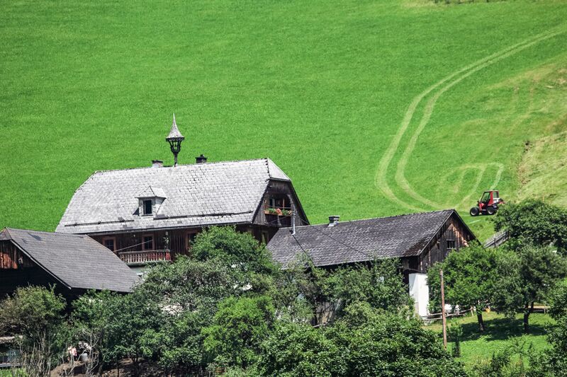 Datei:Vlg Klein hinterwald-31-2018-07-04.jpg