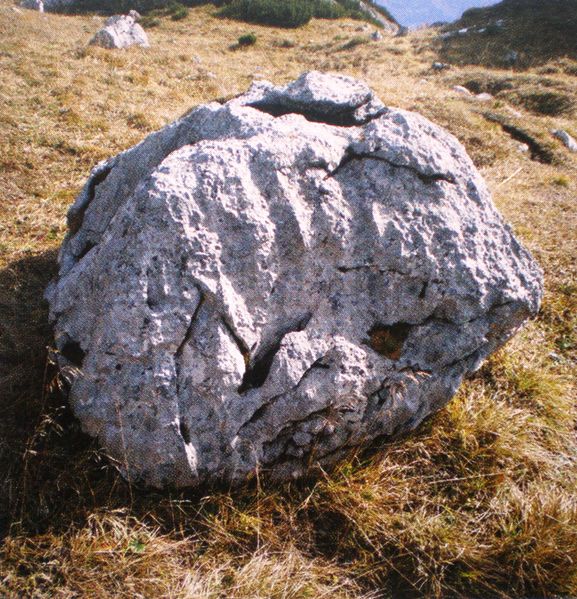 Datei:Wasserbecken 1.jpg