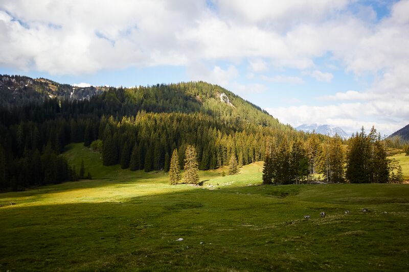 Datei:Zlaimmöser Moore-147-2020-05-27.jpg