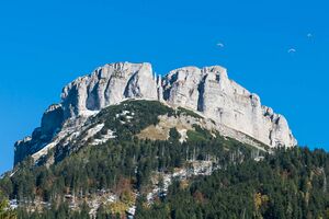 2013-10-13 D8C6387 Loser.jpg