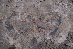 Annakapelle Schladming Restaurierung 2010 12.jpg