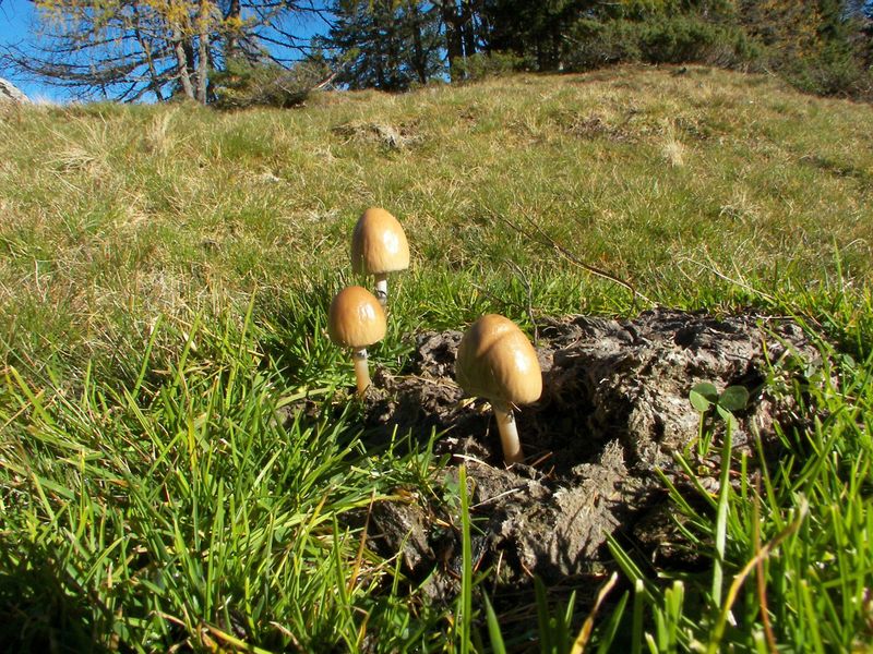 Datei:Duisitzkar 19099 2006-10-31.jpg