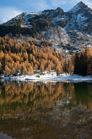 Duisitzkarsee 2012-10-20 DSC1250.jpg