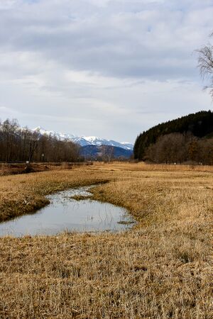 Enns altarm 6619.jpg