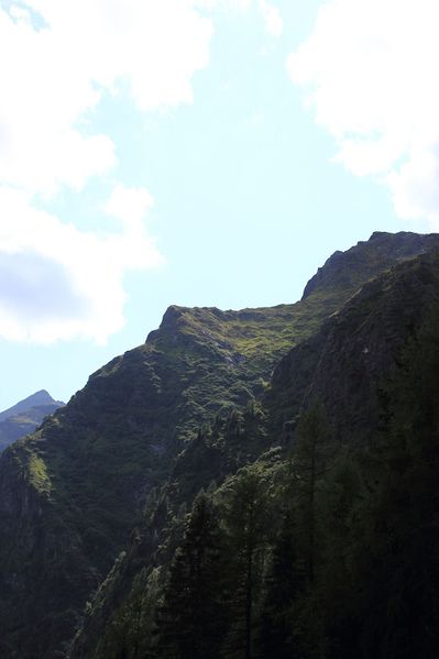 Datei:Fleischhacker sattental 56672 2017-08-25.jpg