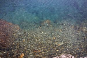 Ghagsee 2814 13-07-13.jpg